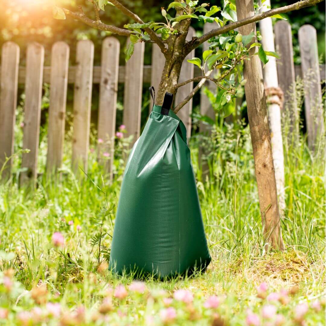 Baumbewässerungsbeutel, automatisches Bewässerungssystem - Gardiso
